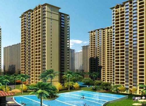 碧桂园在白沙的新房买了会生纸吗